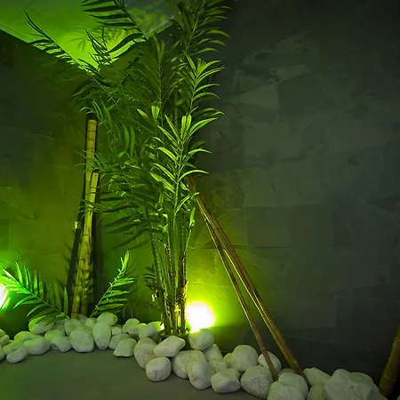 Dna Monse & Golf Hotel Torrevieja